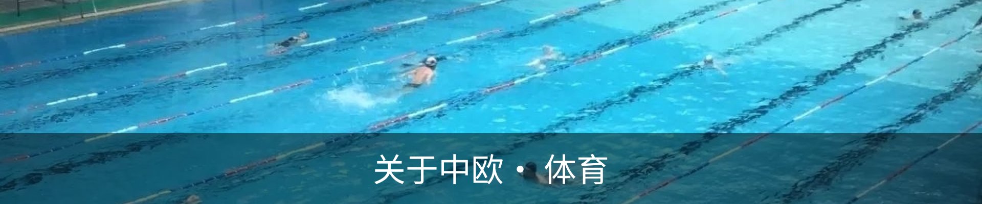 关于中欧· 体育