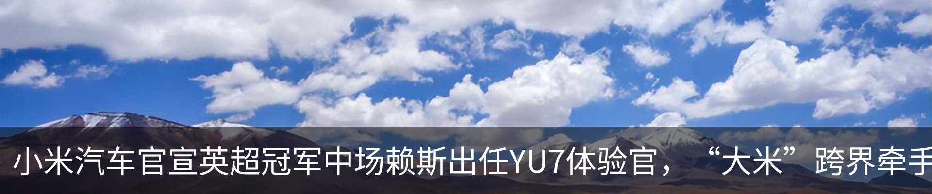 最新动态